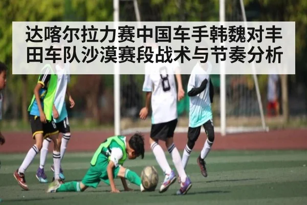 达喀尔拉力赛中国车手韩魏对丰田车队沙漠赛段战术与节奏分析