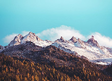 伊卡尔迪罚点球被扑因对手违例重罚，第二次主罚又被扑